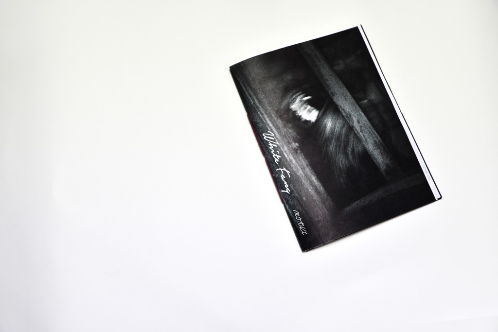 *Signed (300 editions – all editioned) *240mmx320mm *53 pages *printing and binding by the author, Maki Hayashida *JPY 2,200 (plus shipping and handling)