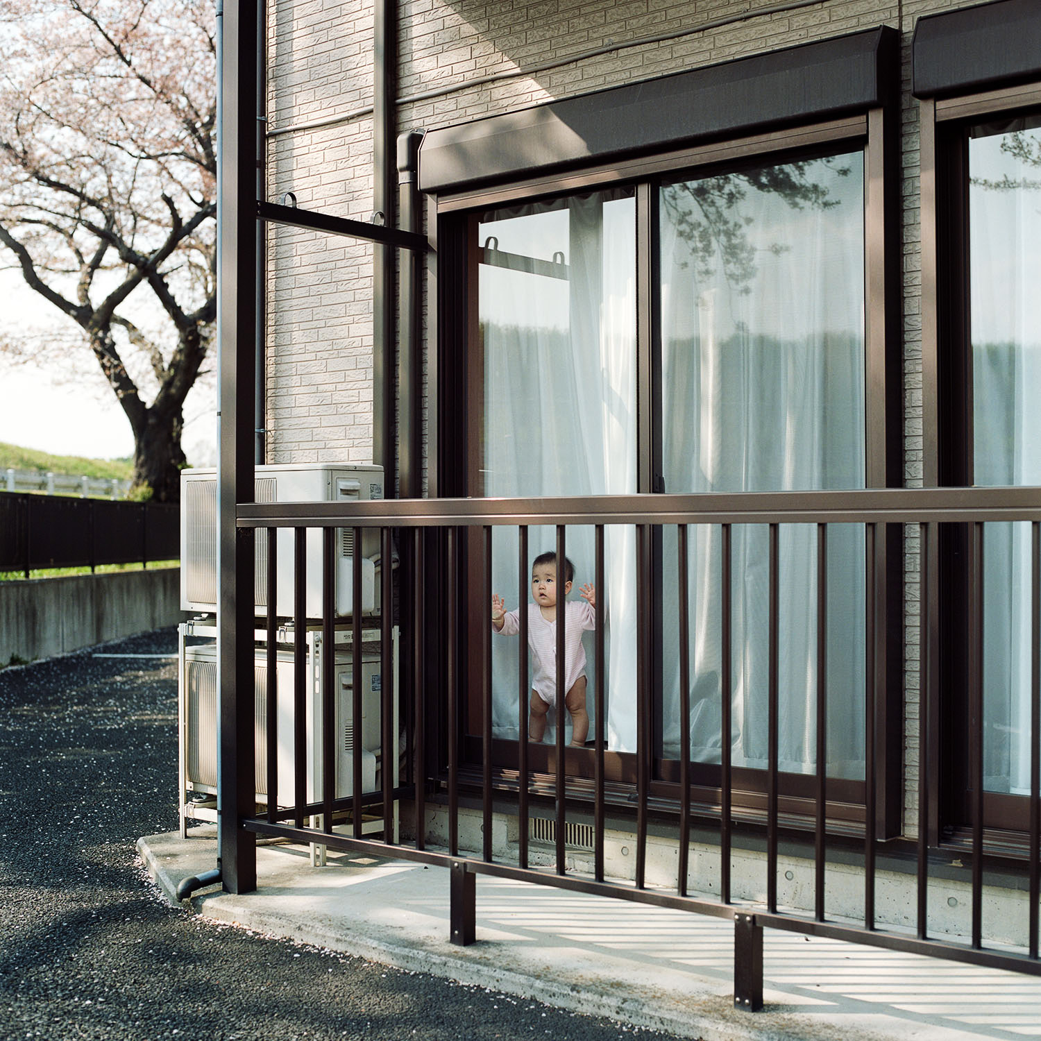 a baby looking out from a house that is a long the tama river. april 2014.