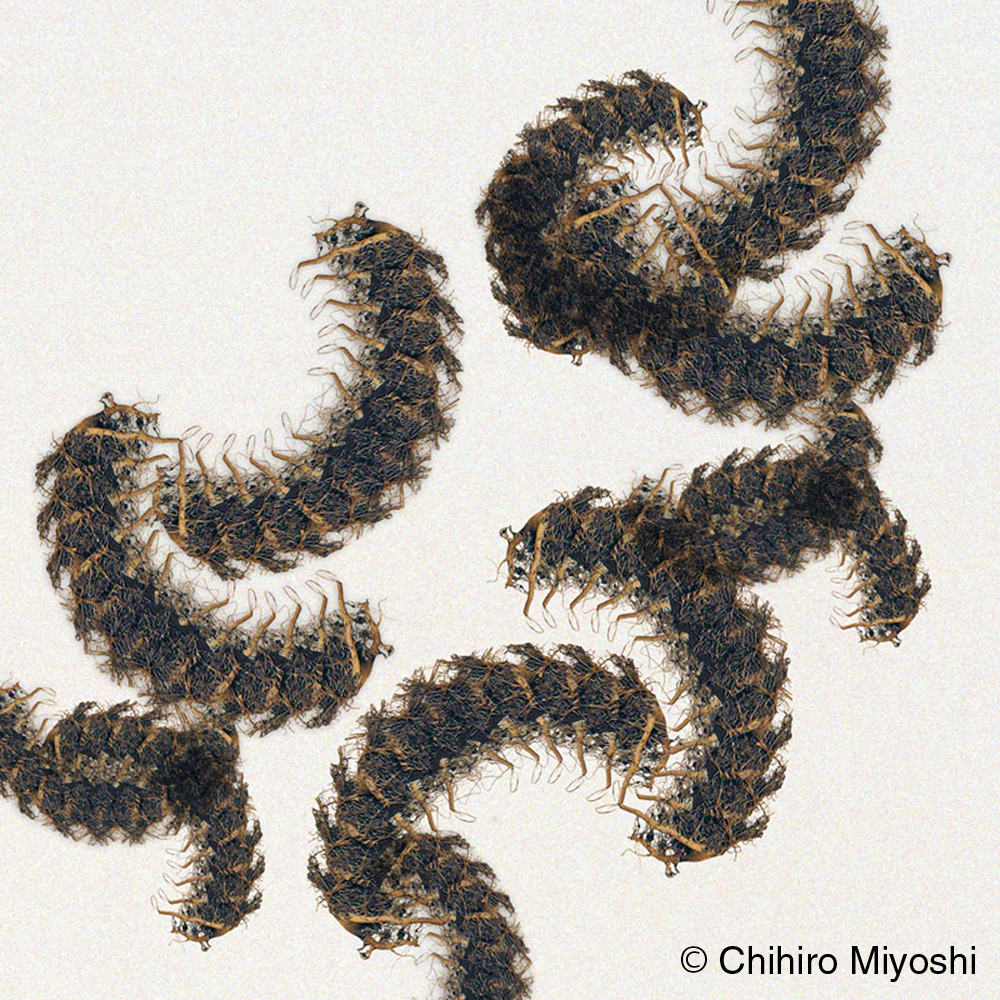 miyoshi